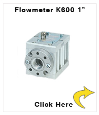 K600 1'' Flowmeter
